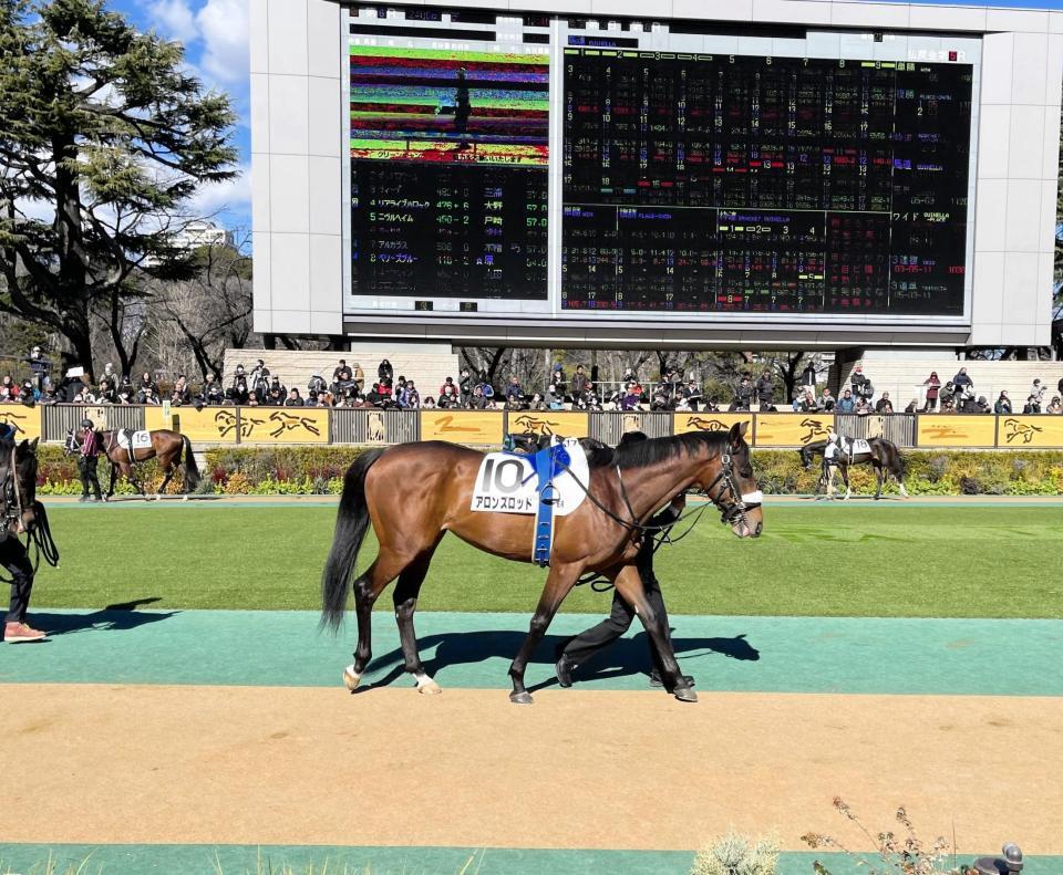　東京６Ｒのパドックを周回するアーモンドアイの子どもアロンズロッド