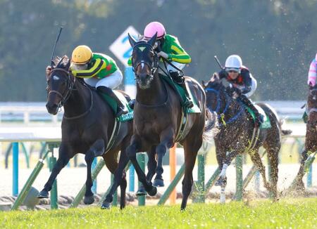 　直線で抜け出すサトノシャイニング（中央）＝撮影・石湯恒介