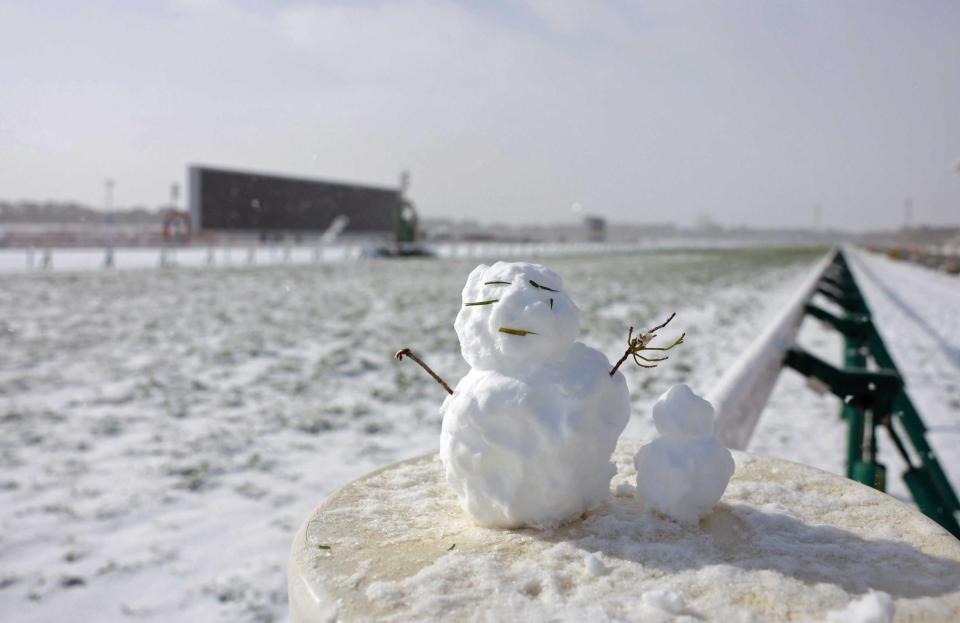 　中止になった京都競馬（撮影・石湯恒介）