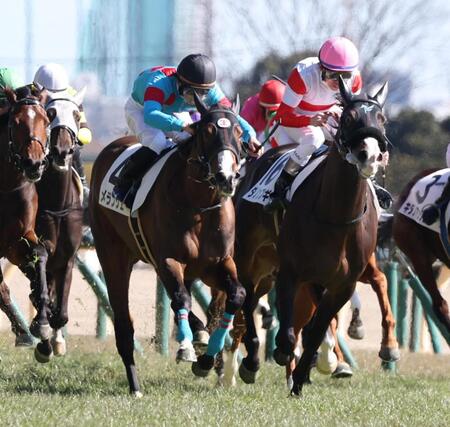 【新馬戦】メランジェ　豪快に差し切った　会心の勝利に菅原明「いい脚を使ってくれました」