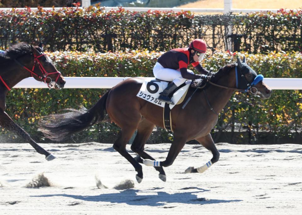 　突き抜けたシュヴァルム