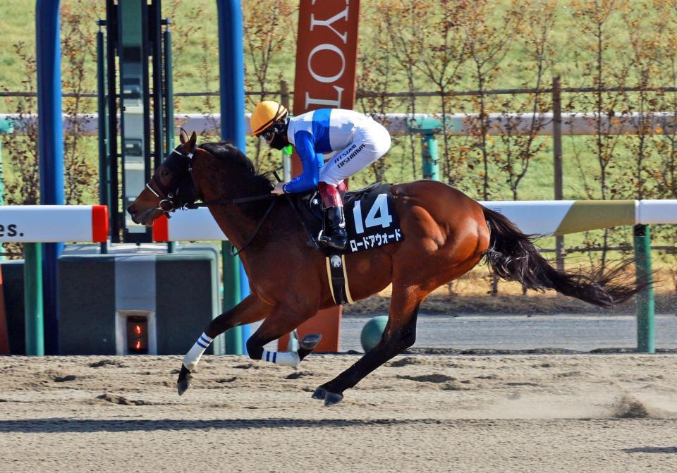 　令月Ｓを制したロードアウォード（撮影・石湯恒介）