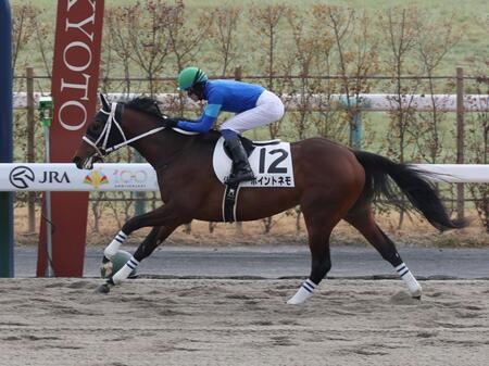 　４Ｒを制したポイントネモ（撮影・石井剣太郎）