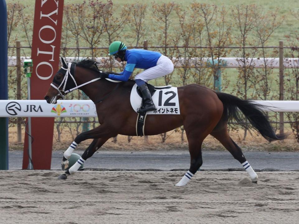 　４Ｒを制したポイントネモ（撮影・石井剣太郎）