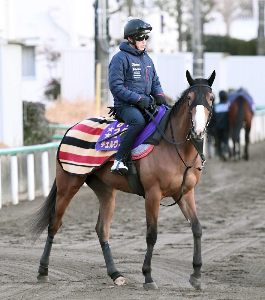 　今年の始動戦を迎えるチェルヴィニア