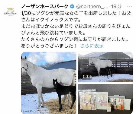 　ノーザンホースパークのＸ（＠ｎｏｒｔｈｅｒｎ＿ｈｏｒｓｅ）から