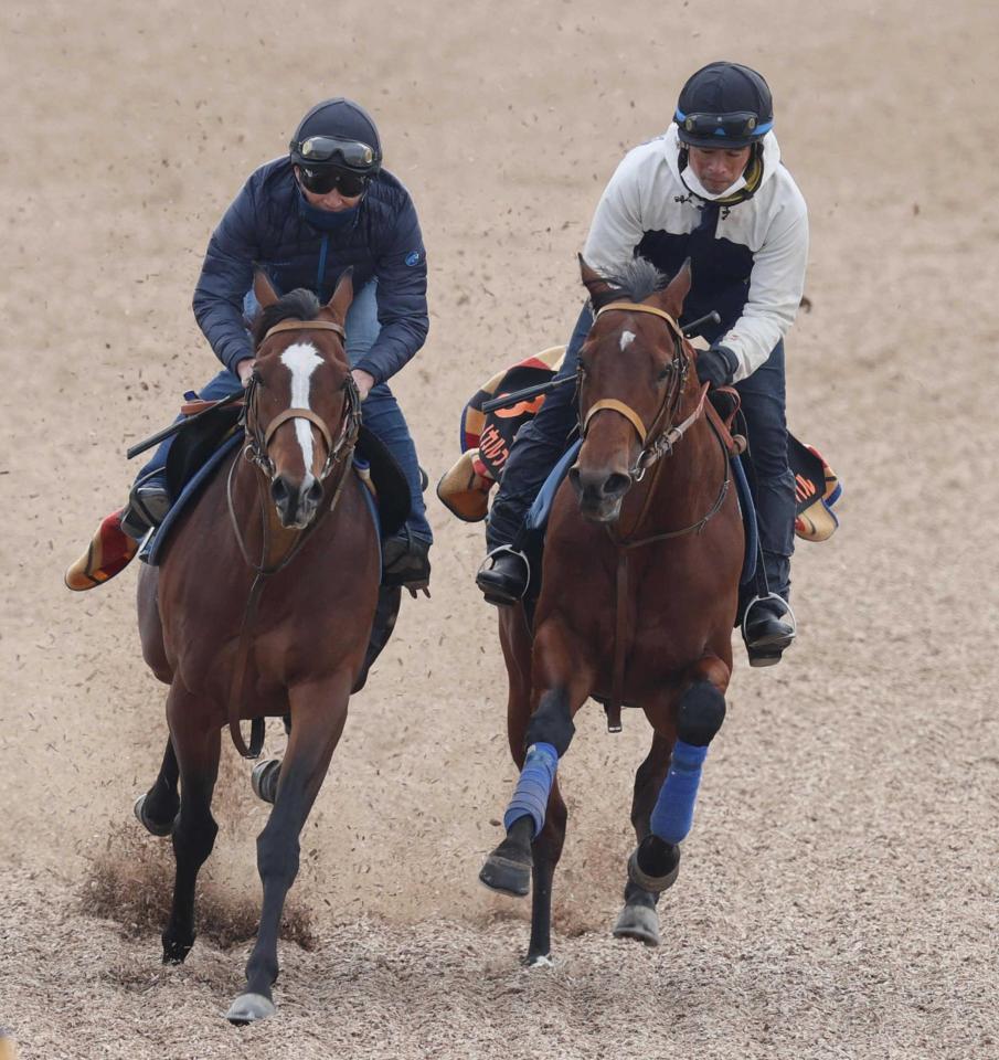 　迫力満点の動きを披露したサトノカルナバル（右）