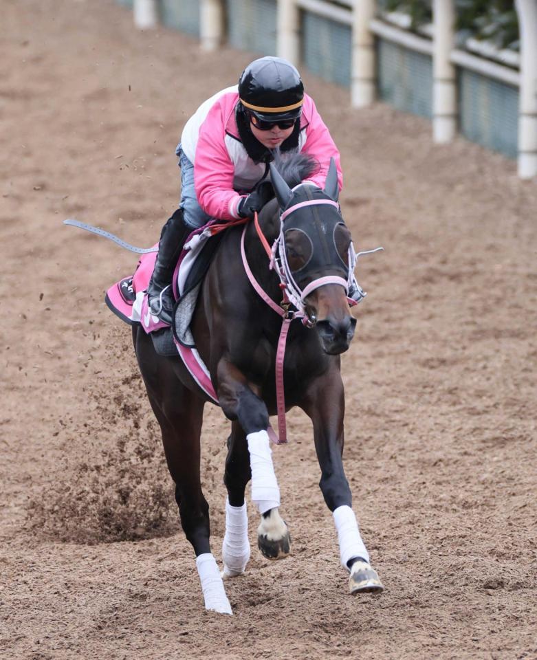 　軽快な動きで好調ぶりをアピールしたショウナンザナドゥ