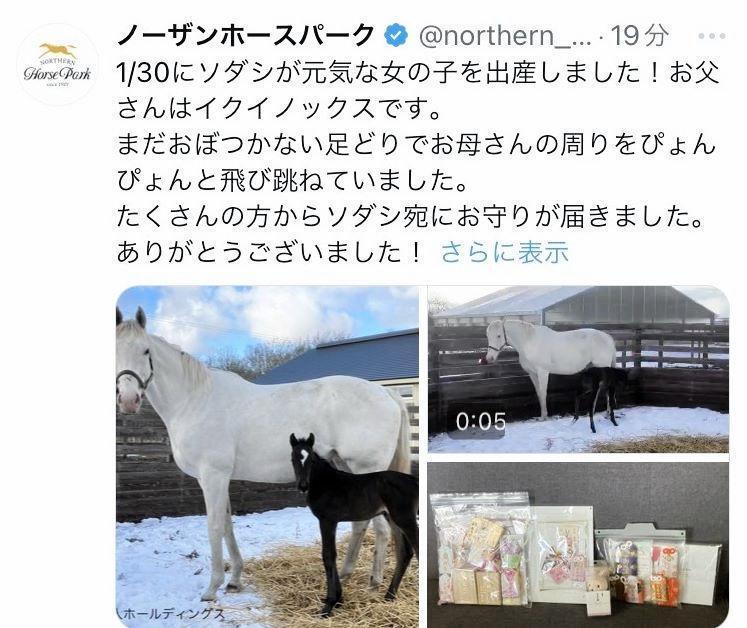 　ノーザンホースパークのＸ（＠ｎｏｒｔｈｅｒｎ＿ｈｏｒｓｅ）から