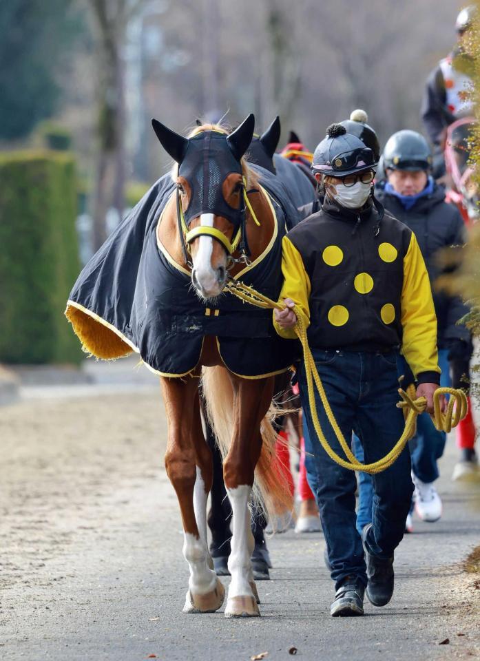 　運動するワンモアスマイル（撮影・石湯恒介）