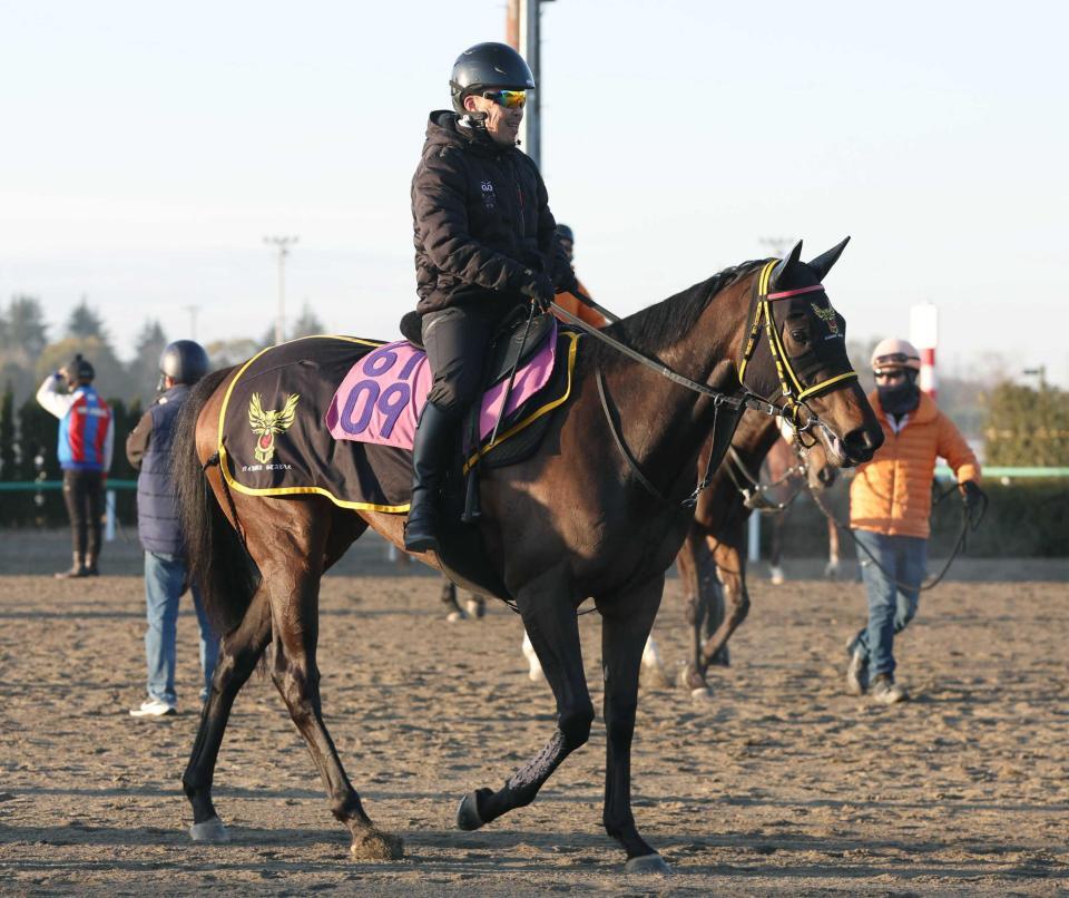 　調教を終え、引きあげる千葉厩舎のガンバレベアー
