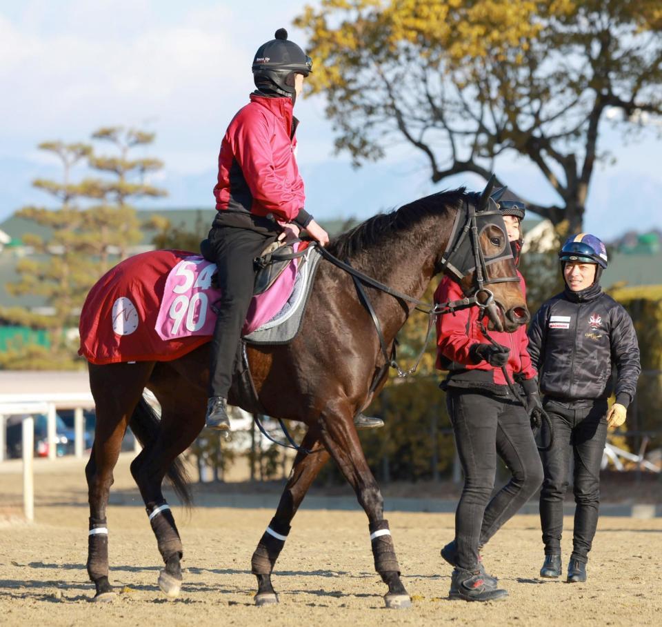 　マディソンガール