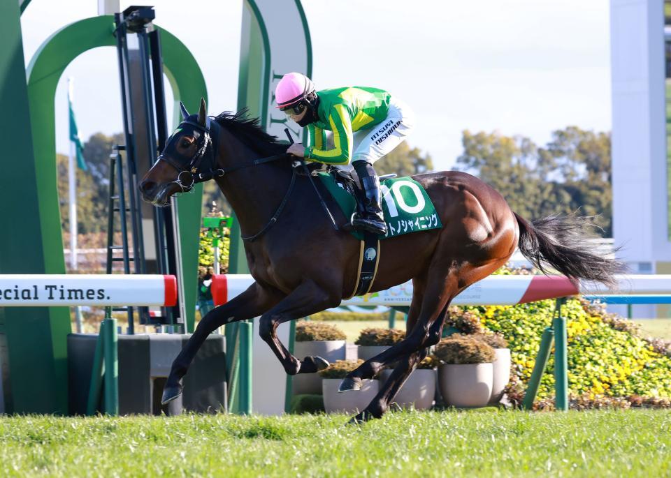 きさらぎ賞を快勝したサトノシャイニング