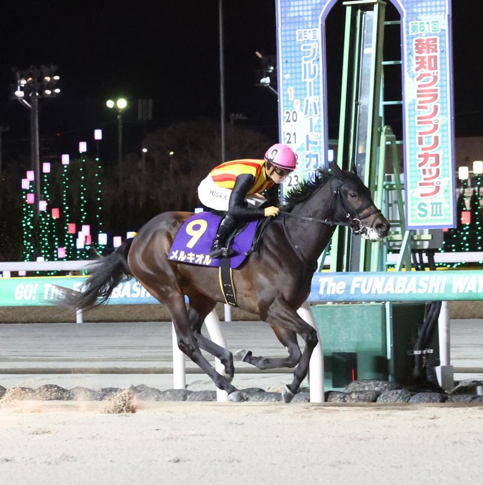 ナダル産駒の代表格メルキオル