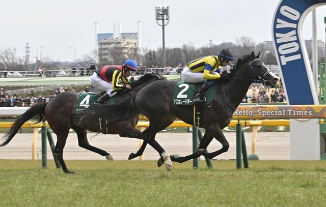 応援馬券（マスカレードボール、共同通信杯） マスカレードボール、重賞初勝利 競馬の共同通信杯 - 日本経済新聞
