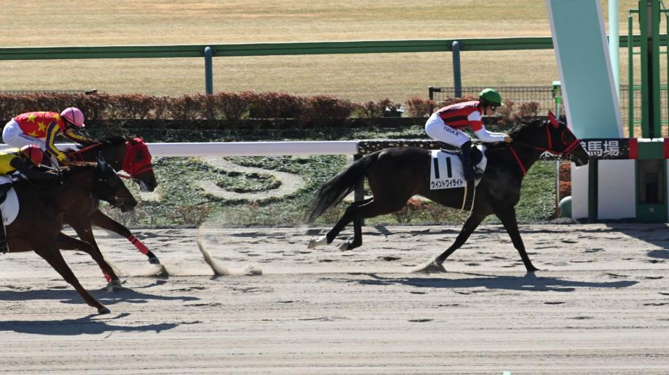 　勝利したウイントワイライト（右）＝撮影・持木克友