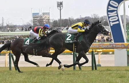 　競り合いを制したマスカレードボール（右）＝撮影・持木克友　