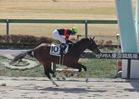 　３Ｒメイクデビュー戦を勝利したホウオウゴールド＝東京競馬場（撮影・持木克友）