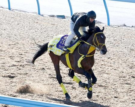 【サウジＣ】ウシュバテソーロ　古豪復権へ上昇ムード　２年連続の好走に期待　高木師「頑張ってほしいね」