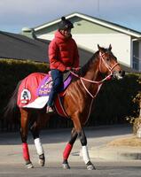 　２度目のサウジ遠征に臨むフォーエバーヤング