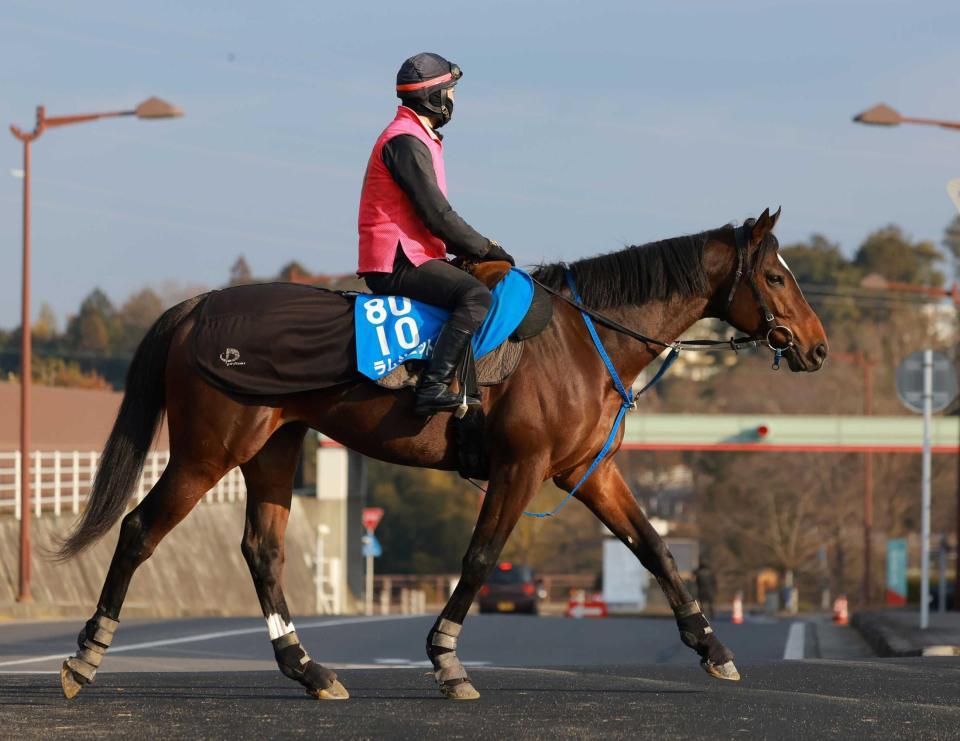 　東京ダービー覇者ラムジェット