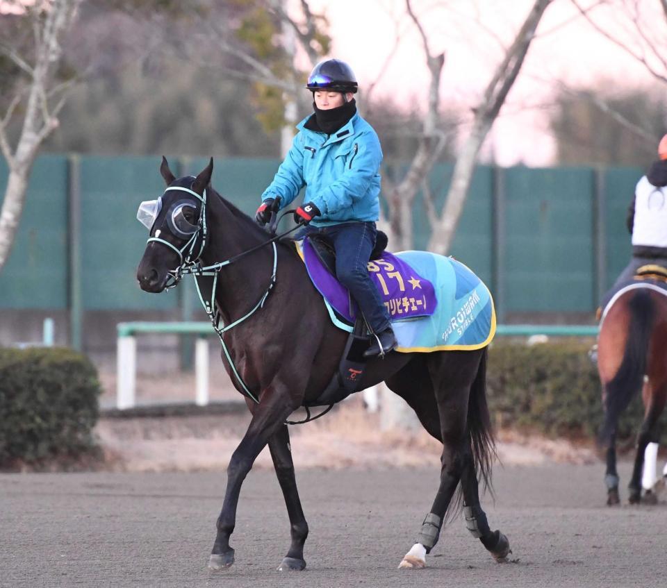 　サウジでＧ２・１３５１ターフスプリントに挑むアスコリピチェーノ