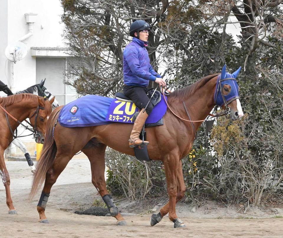 　データ班のイチ推しミッキーファイト