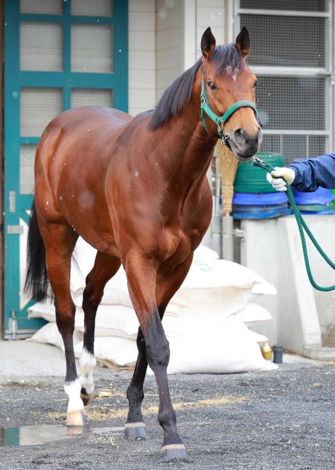 　２連勝で勢いに乗るサンデーファンデー