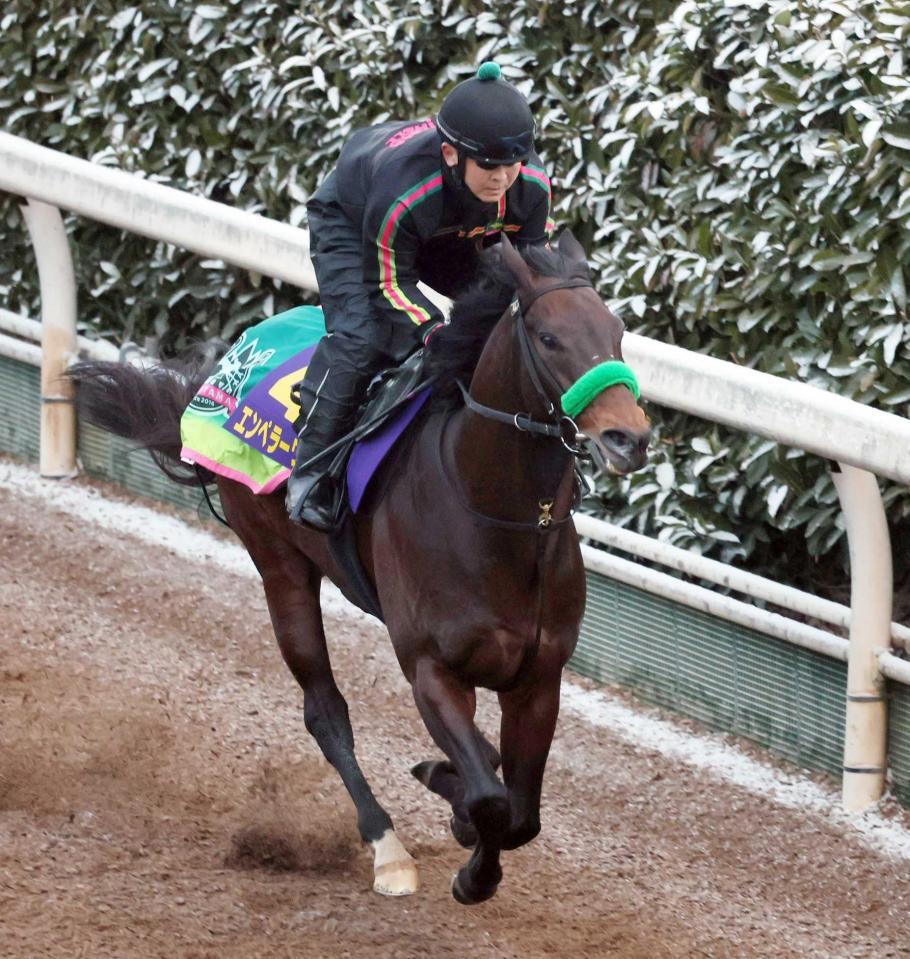 　軽快に登坂したエンペラーワケア（撮影・石井剣太郎）