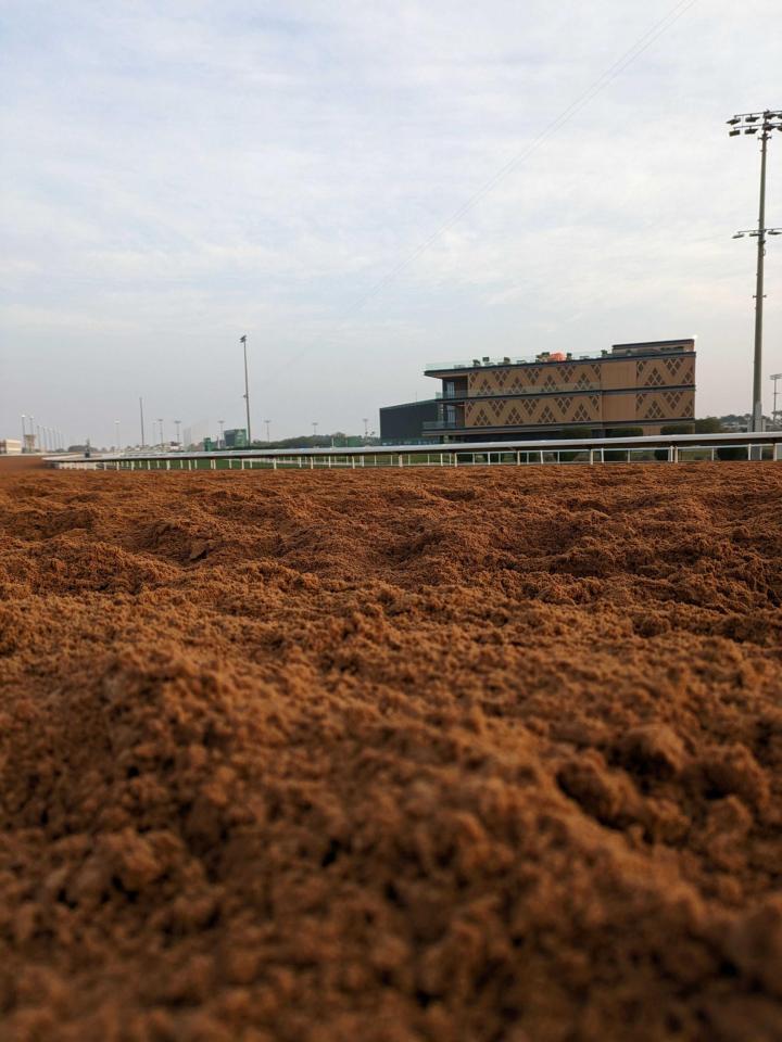 　キングアブドゥルアジーズ競馬場の粘土質のダート