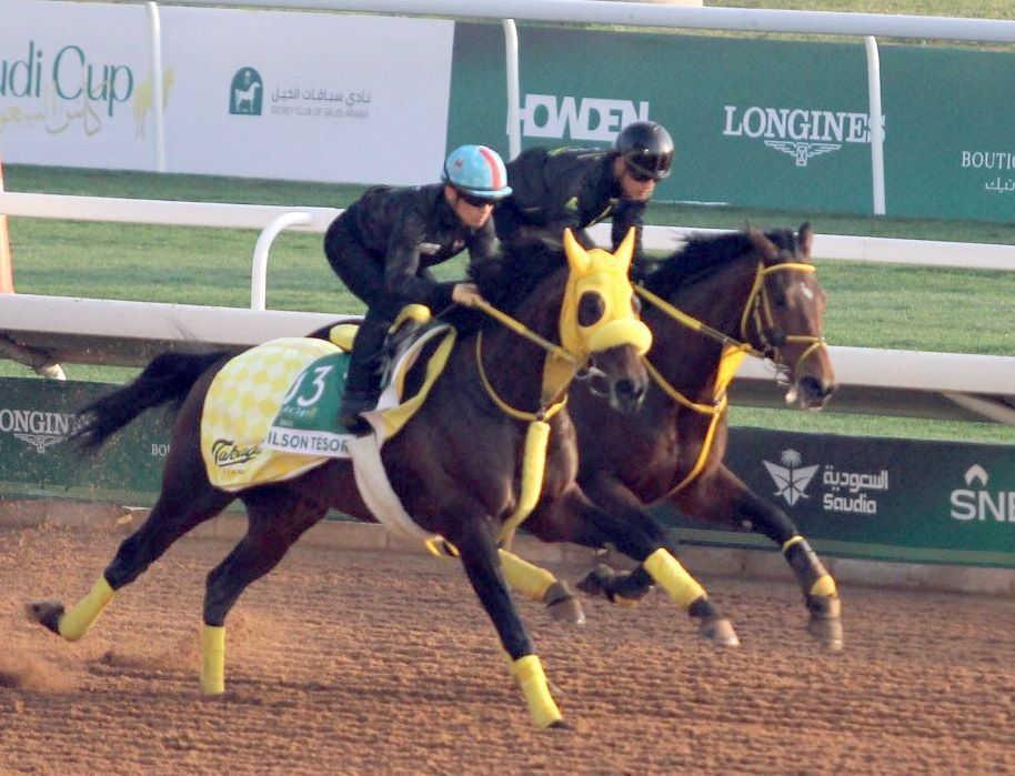 　２頭で併せるウィルソンテソーロ（手前）とウシュバテソーロ