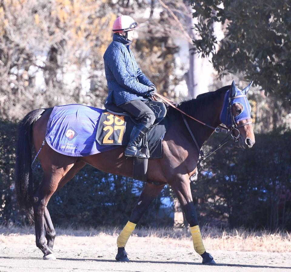 　初陣に向けて好気配を漂わせているレッドエウロス