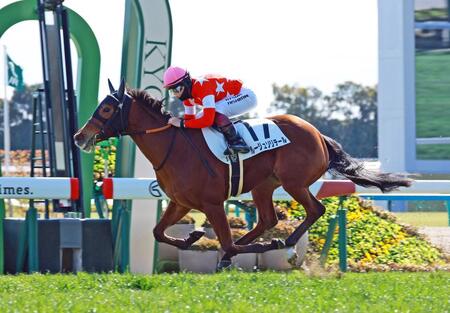 チューリップ賞を予定しているルージュソリテール