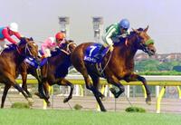 　ＮＨＫマイルＣを制したタイキフォーチュン＝１９９６年