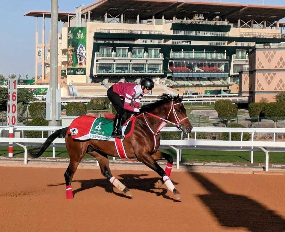 　フォーエバーヤング