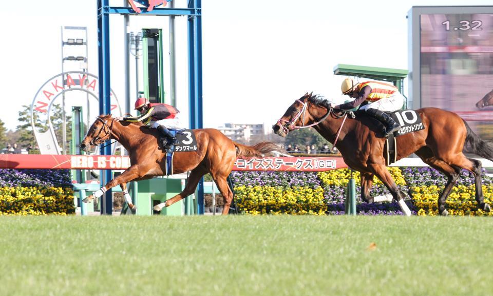 ひいらぎ賞を制したデンクマール（左）