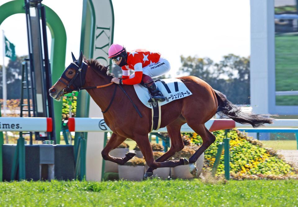 チューリップ賞を予定しているルージュソリテール