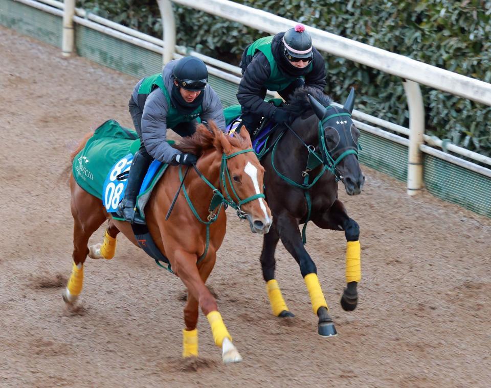 　アーテルアストレア（右）