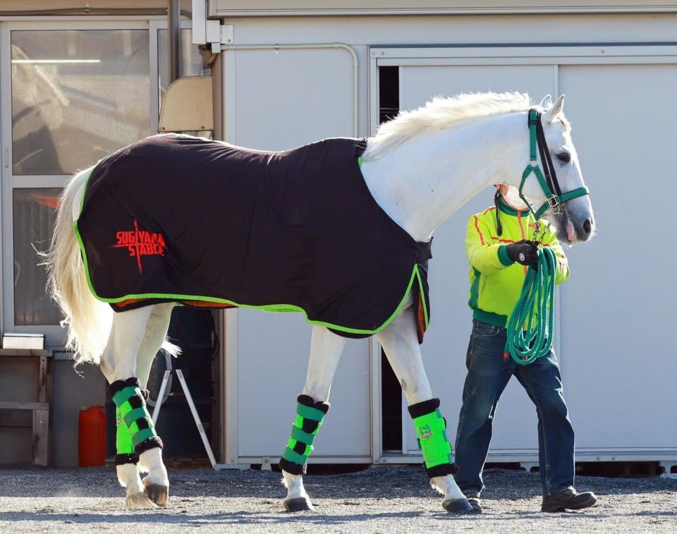 　ガイアフォース