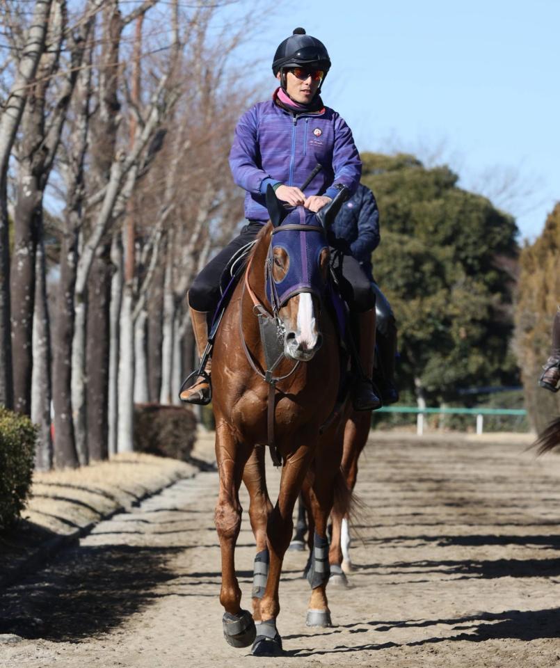 　ミッキーファイト