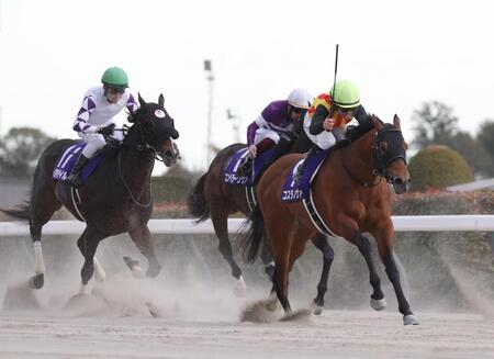 　早め先頭でゴールに向かうコスタノヴァ（右手前）。左はペプチドナイル