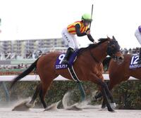 　フェブラリーＳを制したコスタノヴァと、馬上で鞭を上げるキング