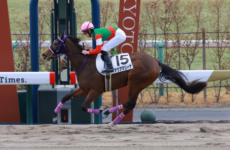 　新馬戦を制したアクアマリーナ（撮影・石湯恒介）