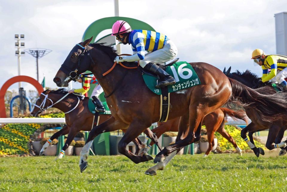 　大外から差し切ったカンチェンジュンガ（撮影・石湯恒介）