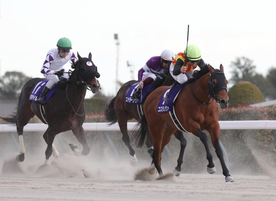 　早め先頭でゴールに向かうコスタノヴァ（右手前）。左はペプチドナイル