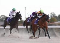 　早め先頭でゴールに向かうコスタノヴァ（右手前）。左はペプチドナイル