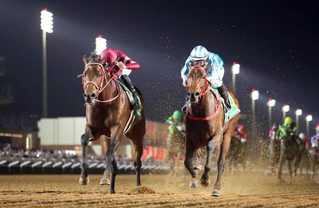 サウジC】フォーエバーヤング 劇的世界制覇！中東の地で“映画以上”の