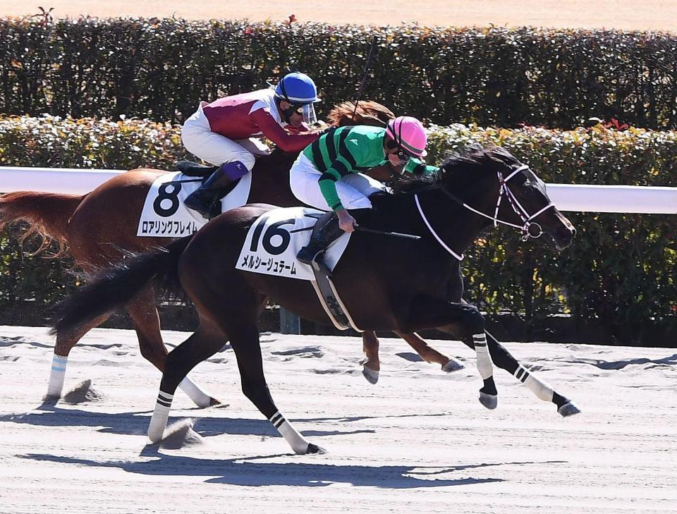 　新馬戦を制したメルシージュテーム（撮影・園田高夫）