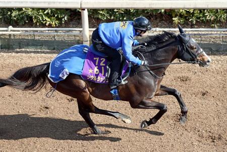 　栗東坂路で鋭い反応を見せたソウルラッシュ