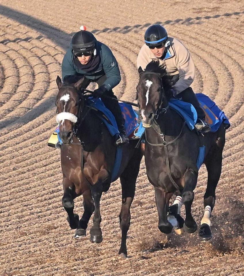 　シャープな伸びを披露したシックスペンス（左）＝撮影・持木克友